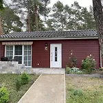 Pirol Zossen
