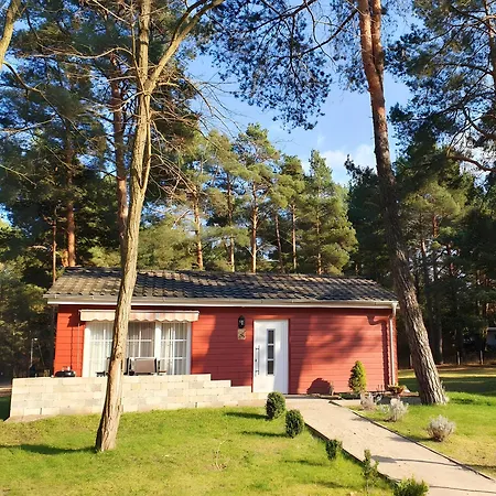 Pirol * Zossen