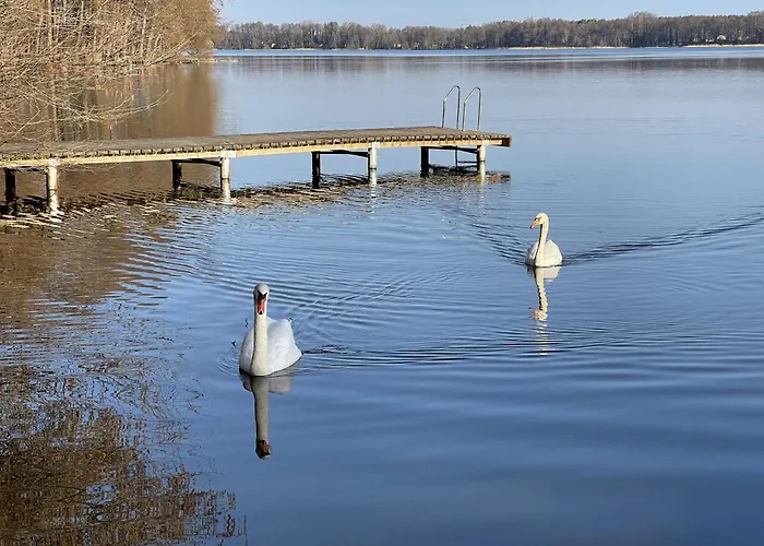 بيت للعطل Pirol