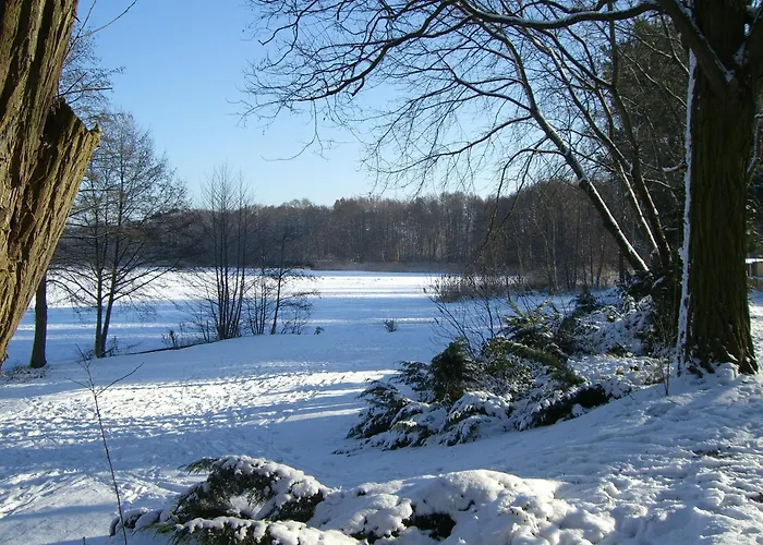 Pirol بيت للعطل *